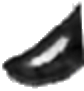 leg