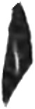 leg