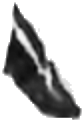 leg