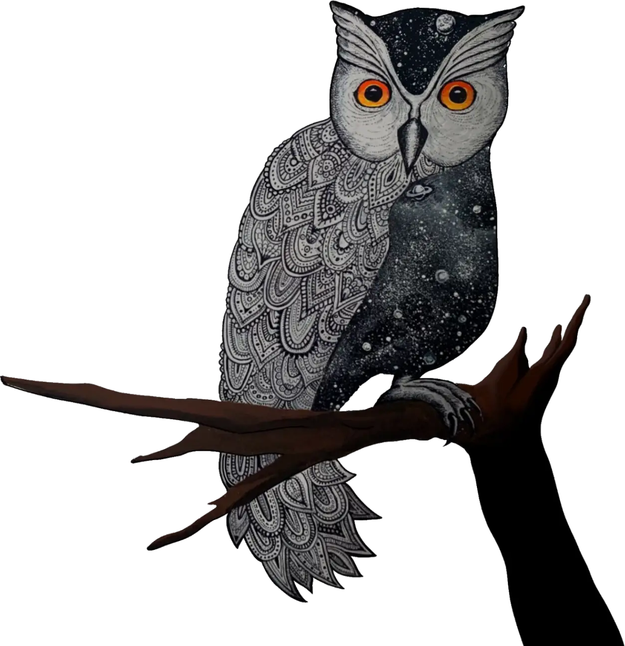 owl on a branch
